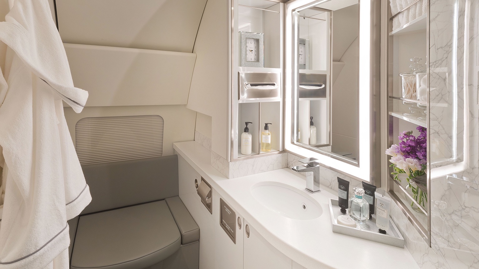 Business Boeing 737 - Image 6