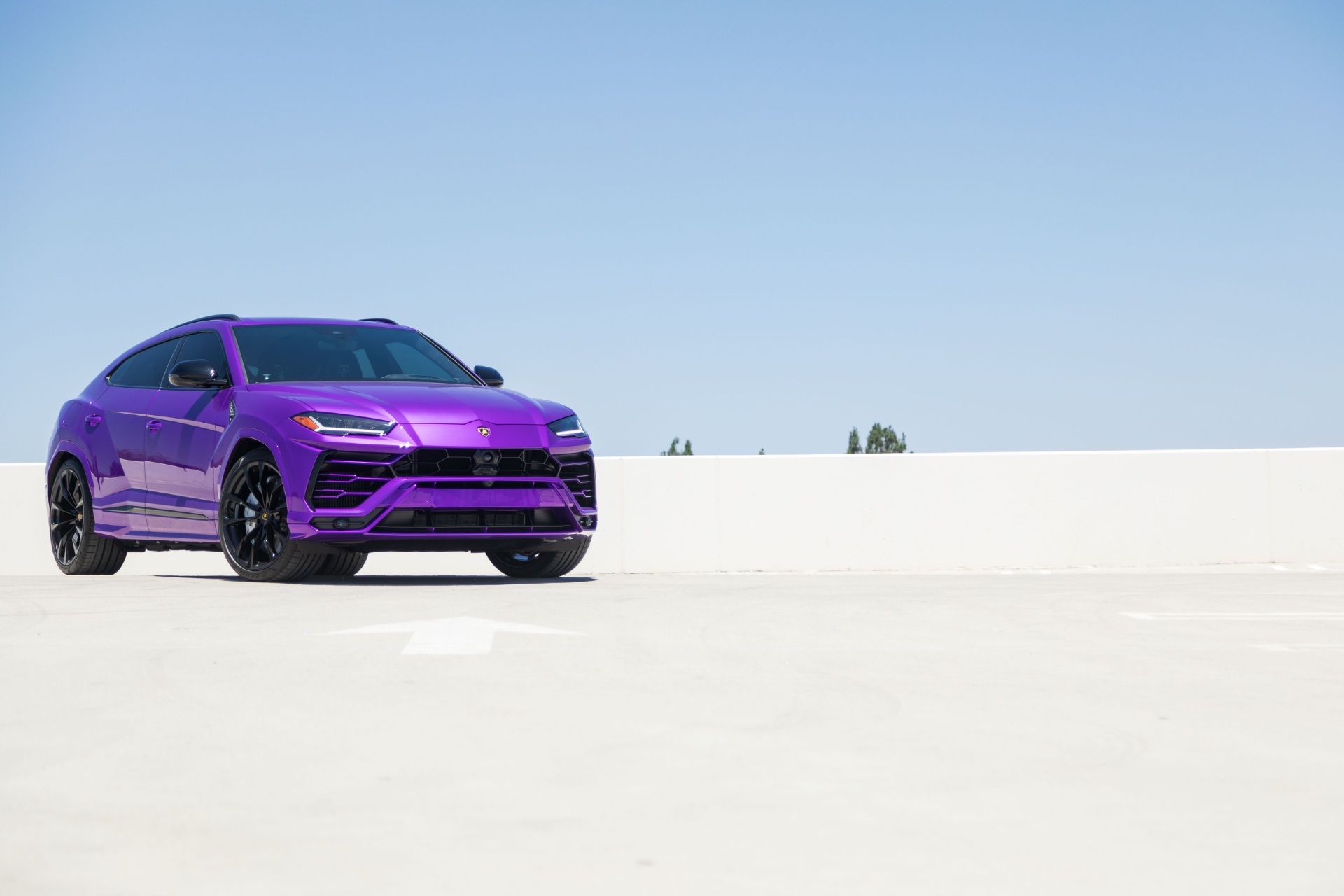 Urus Purple - Image 6