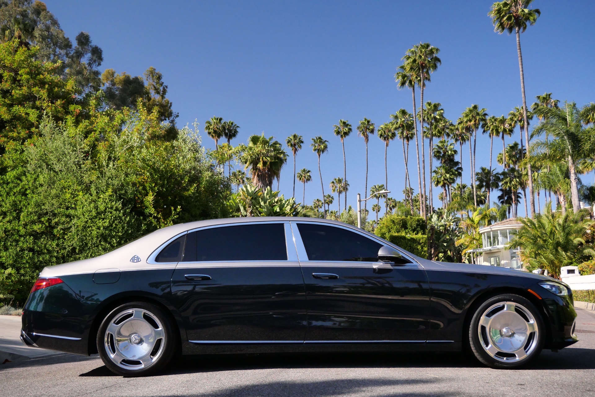 Maybach (2-tone Dark Green) - Image 9