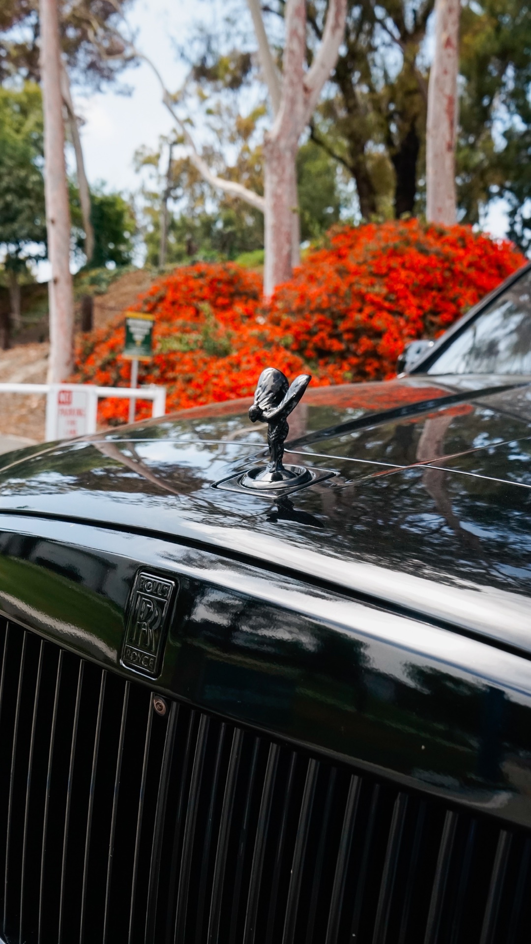 Cullinan Black – Red Interior - Image 9