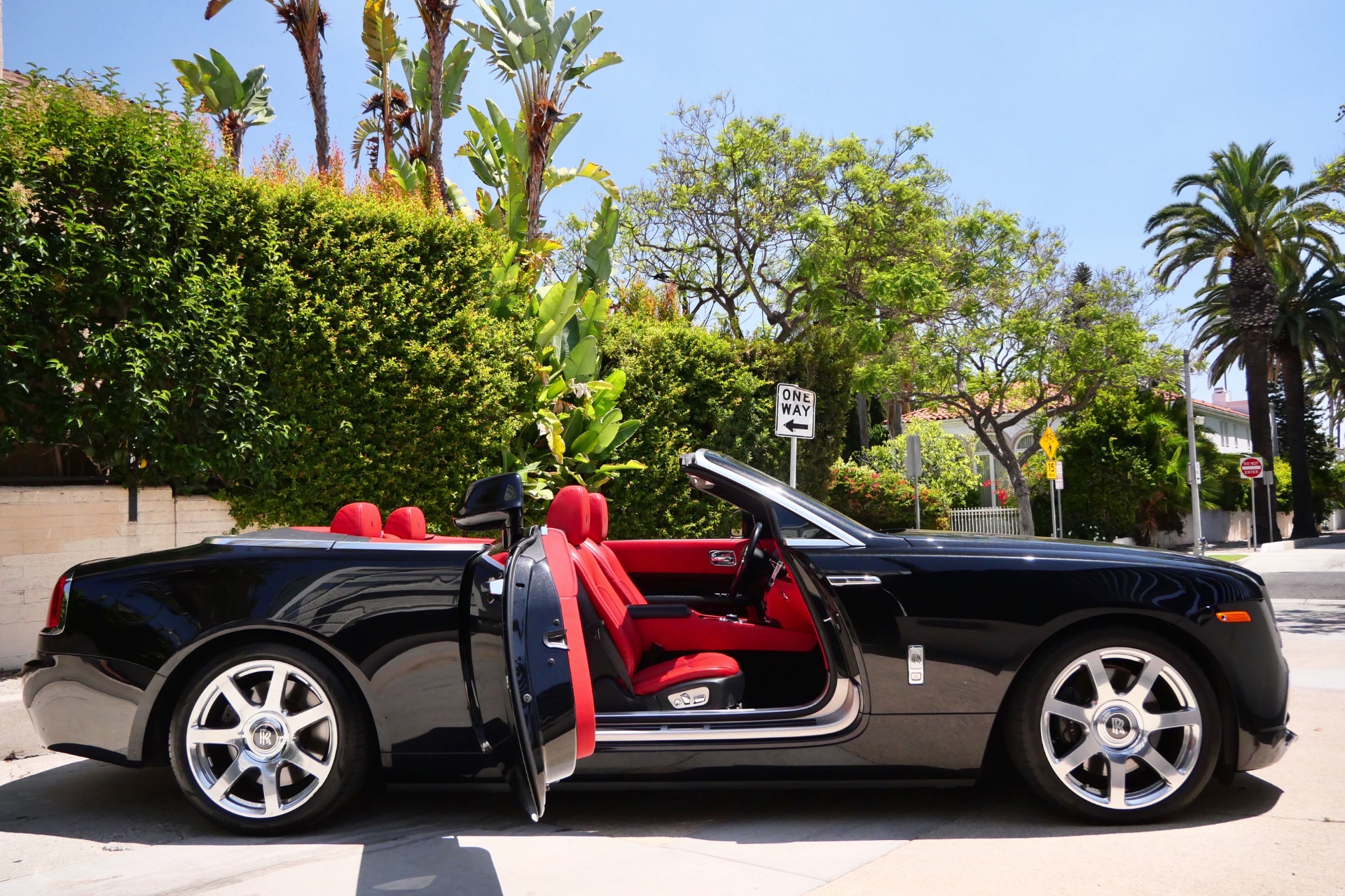 Dawn Black on Red - Image 6