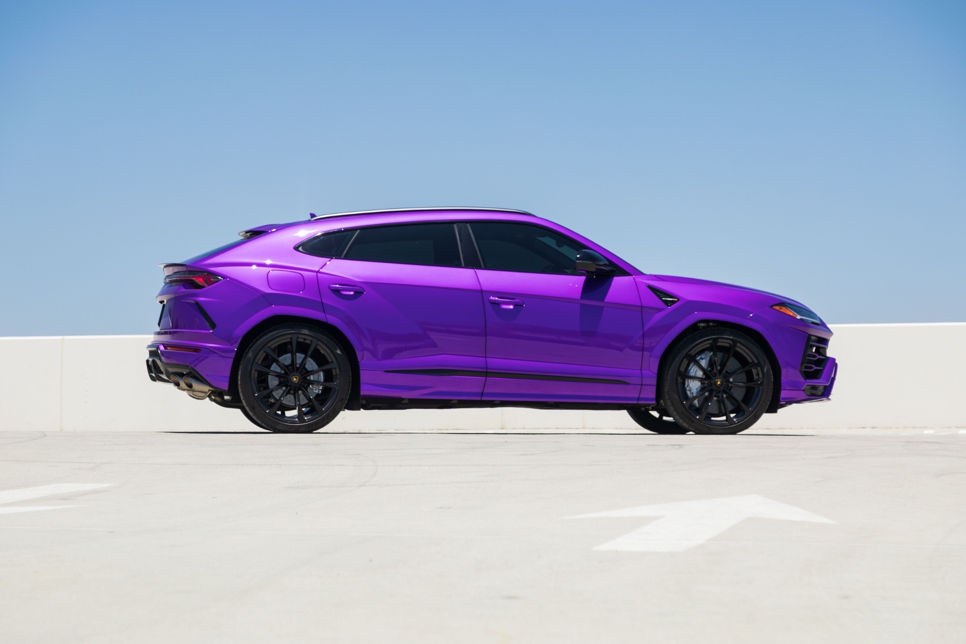 Urus Purple - Image 8