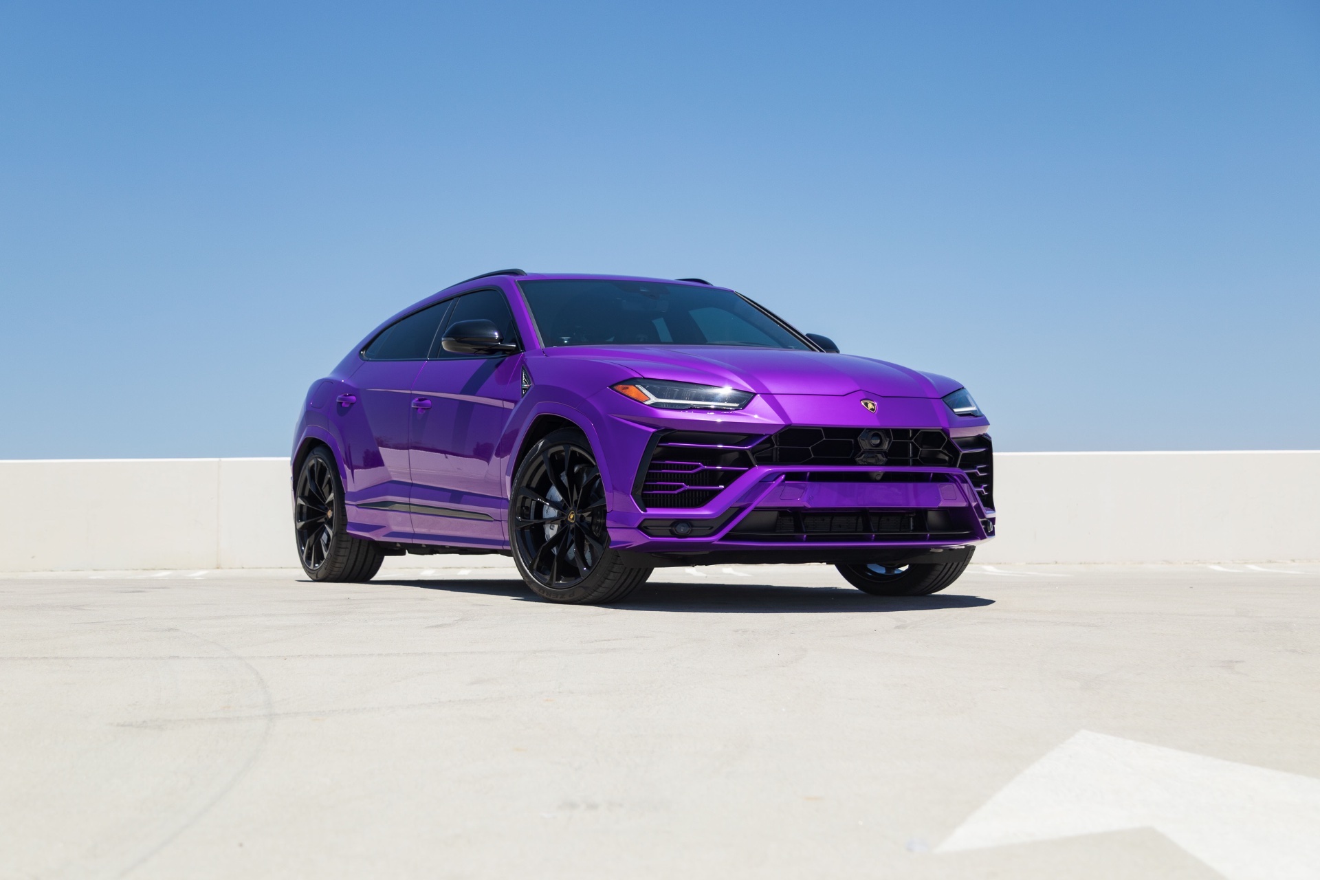 Urus Purple - Image 9
