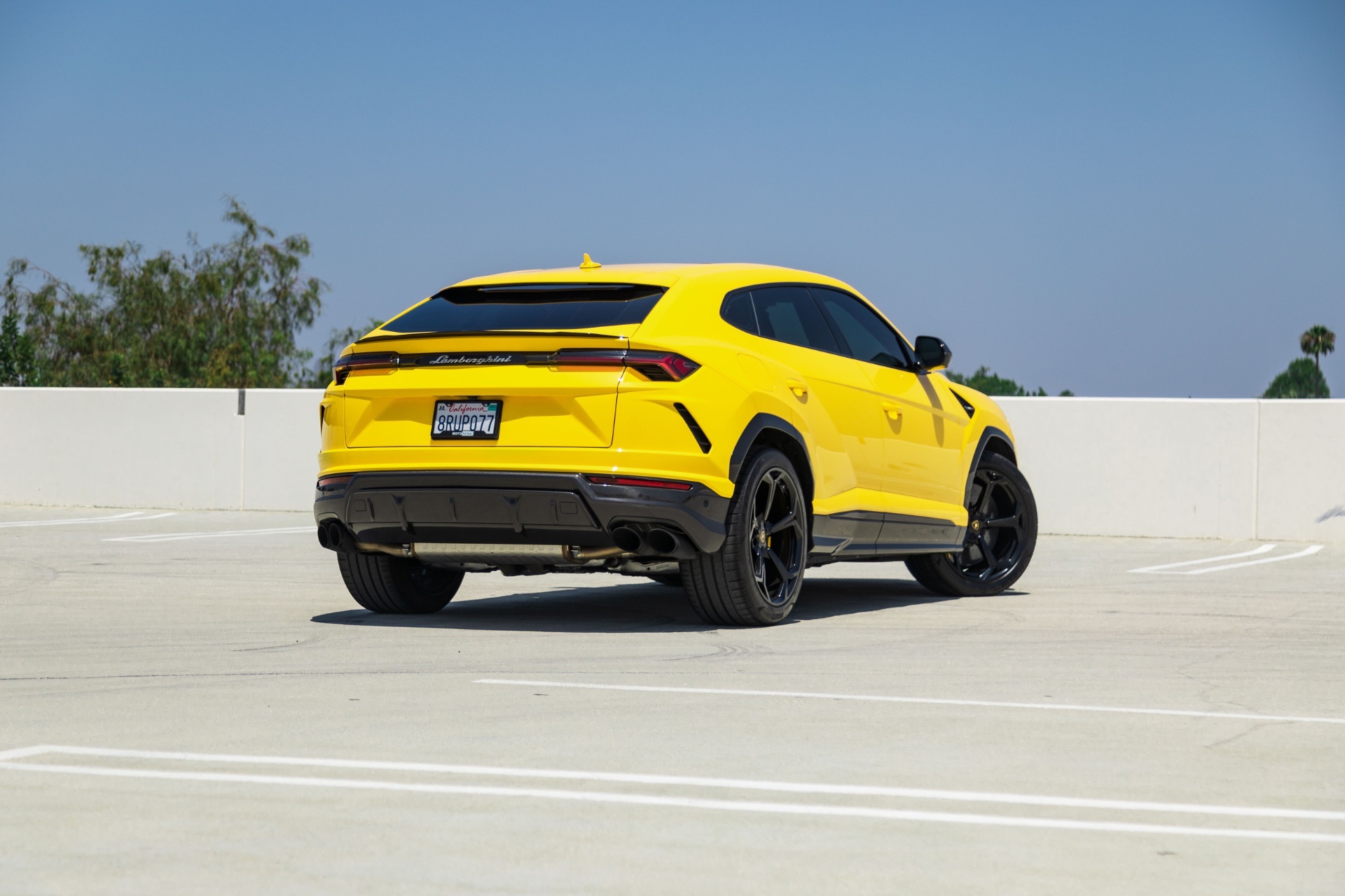 Urus Yellow - Image 9