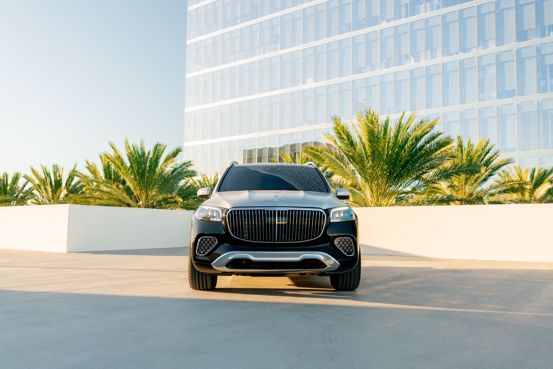 Maybach GLS 600 2-tone (2026) - Image 6