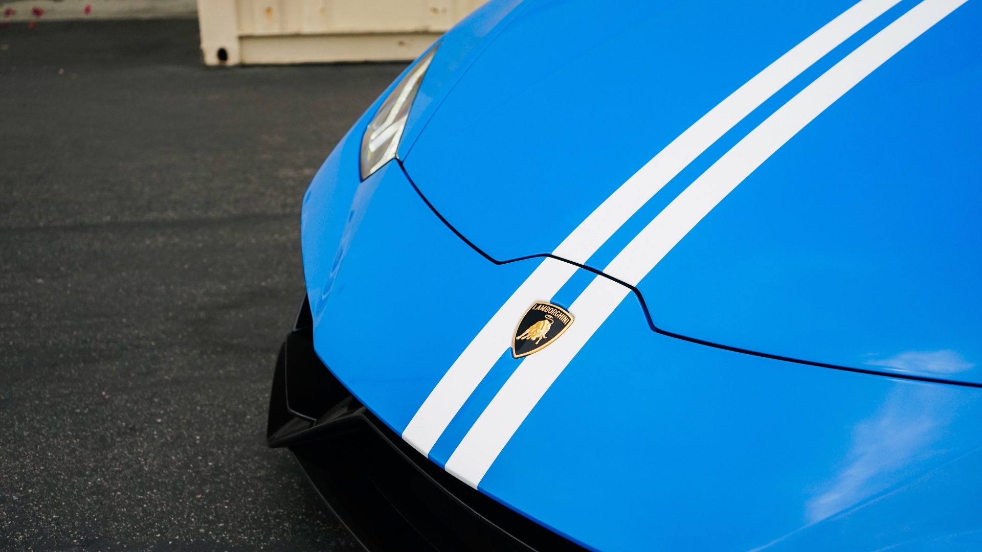 Huracan Evo Spyder 60TH Anniversary (2024) - Image 6