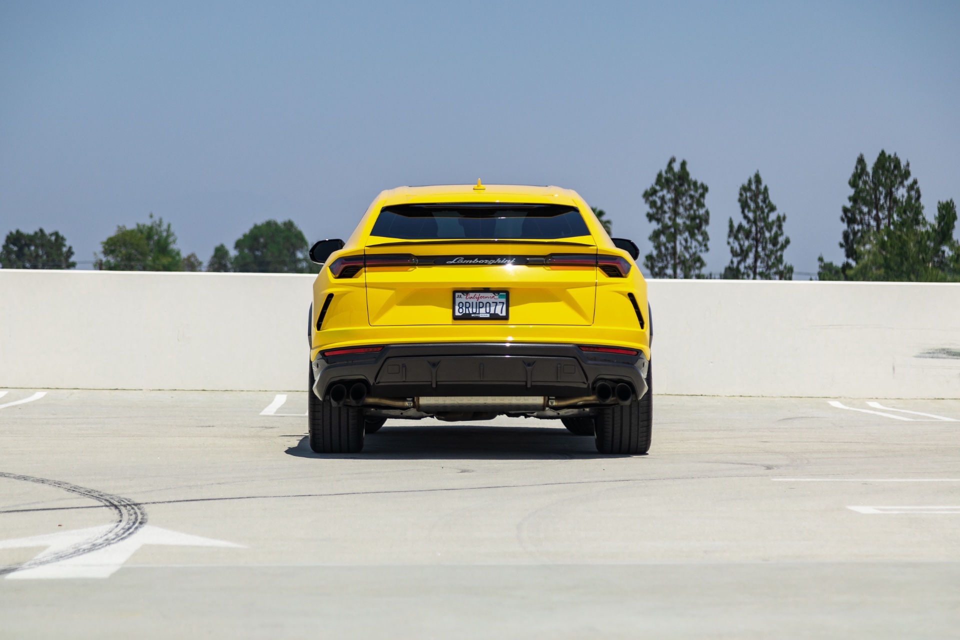 Urus Yellow - Image 6