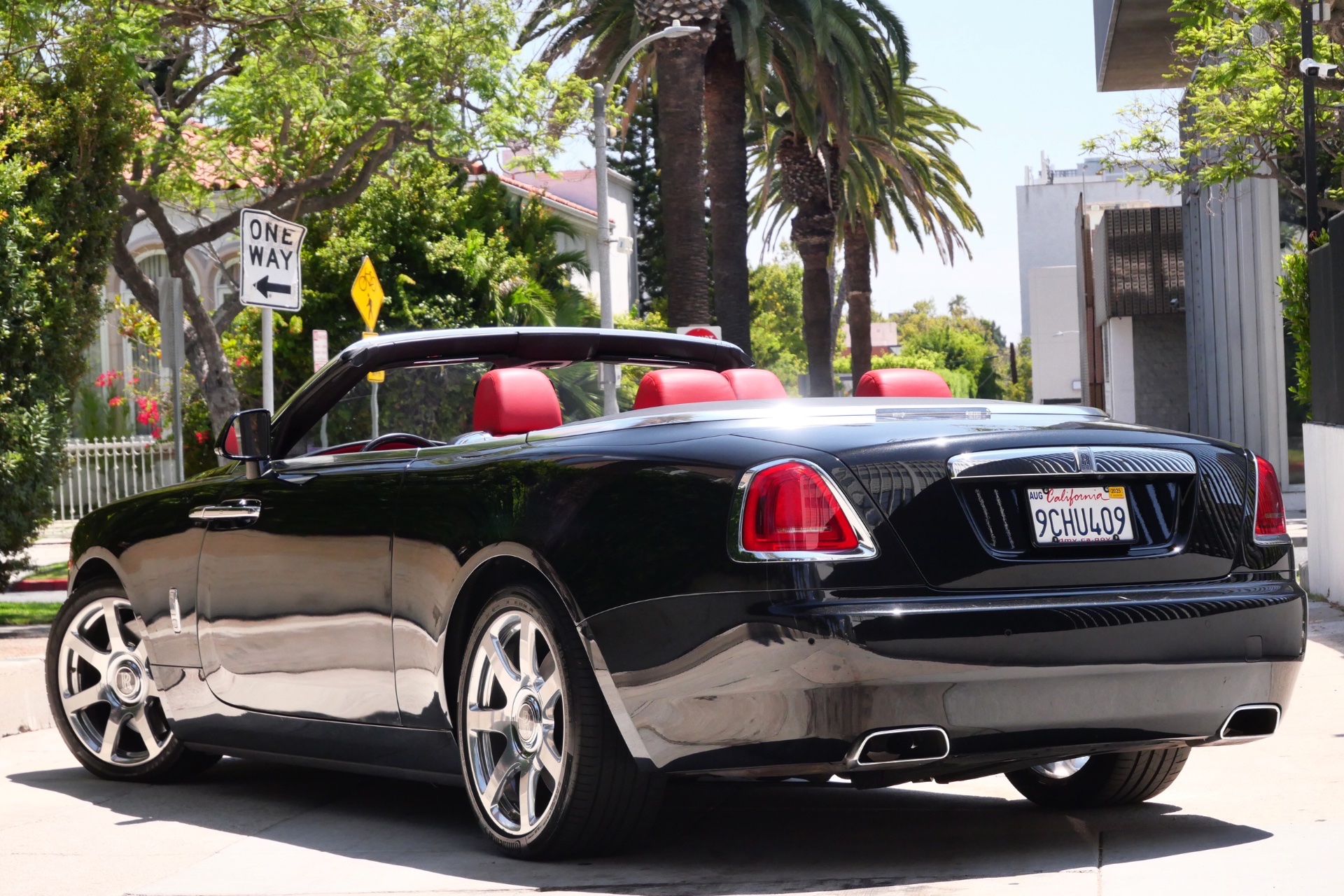 Dawn Black on Red - Image 8