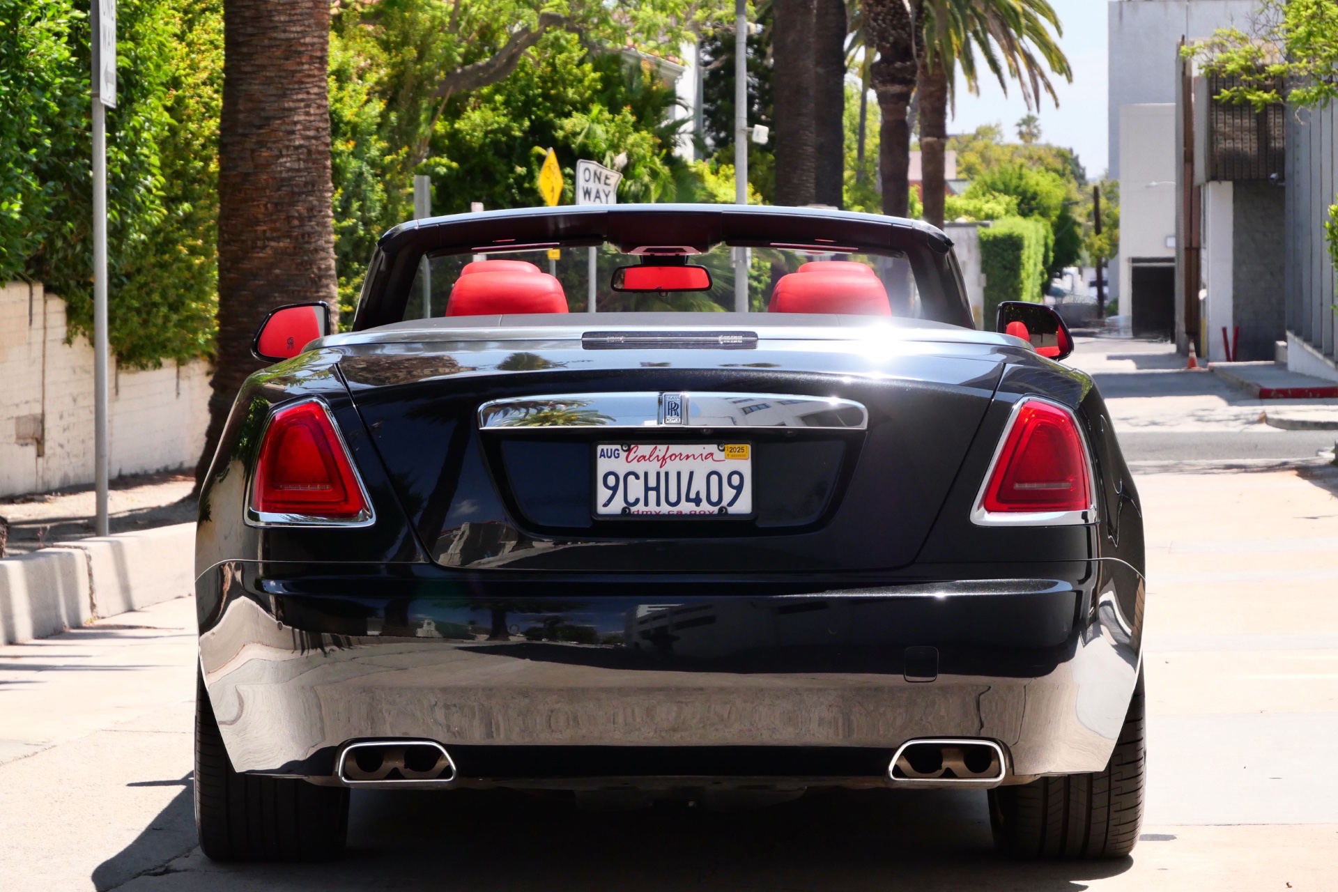 Dawn Black on Red - Image 7