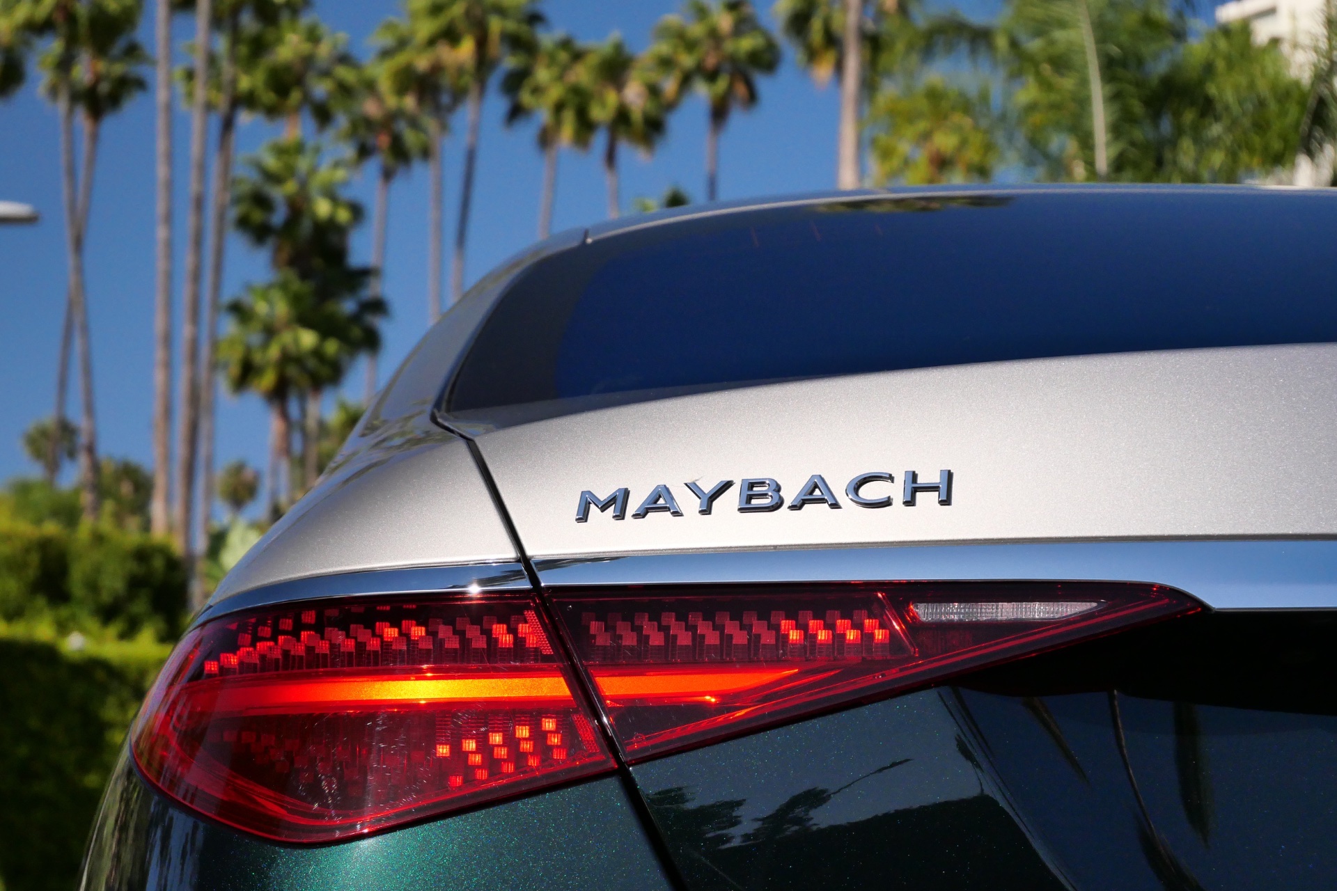 Maybach (2-tone Dark Green) - Image 6