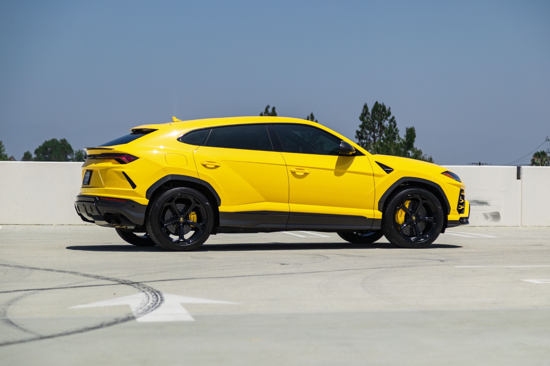Urus Yellow - Image 7