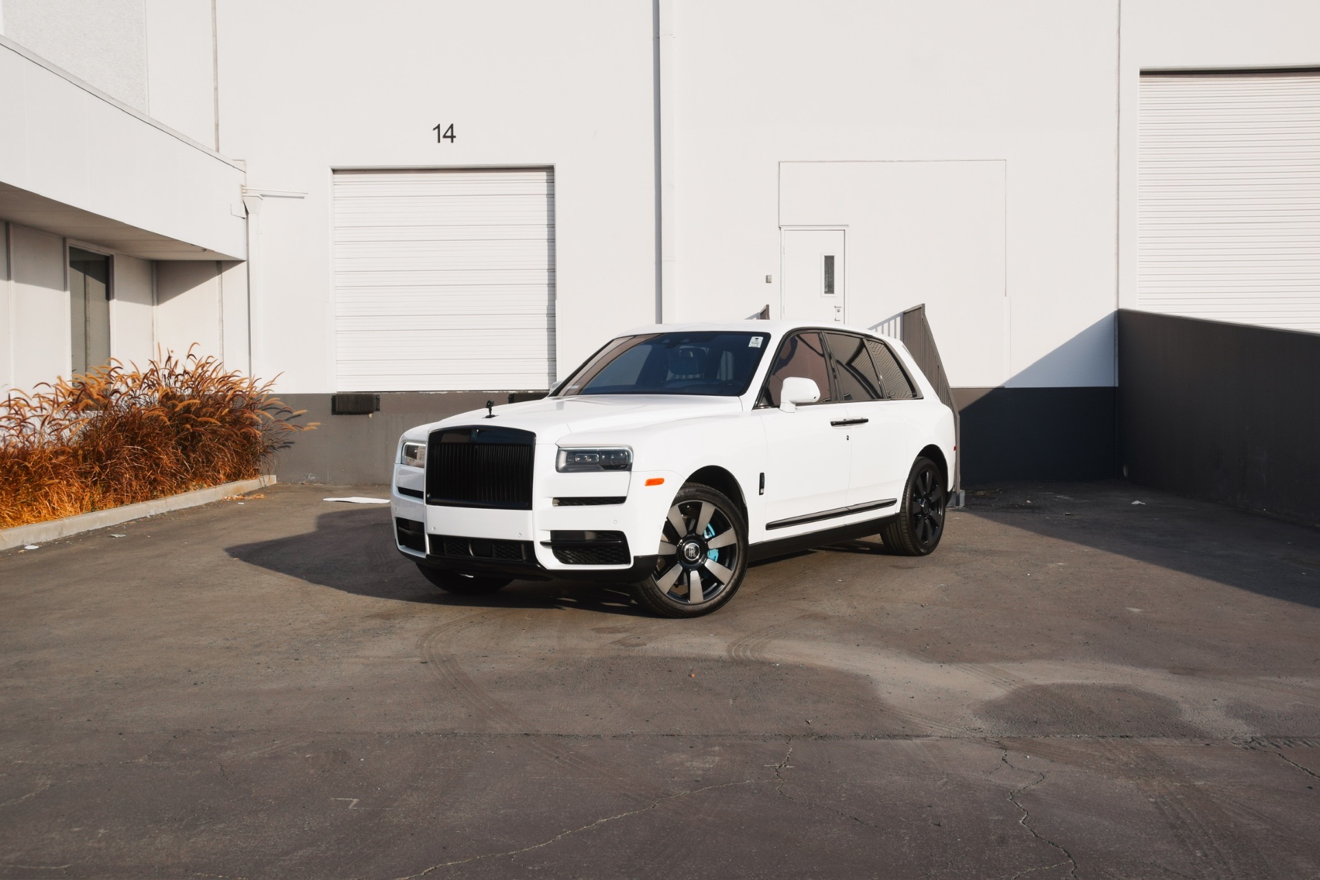 Cullinan White on Blue