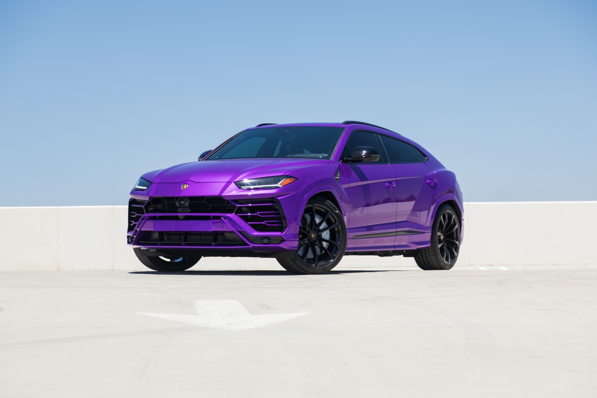 Urus Purple