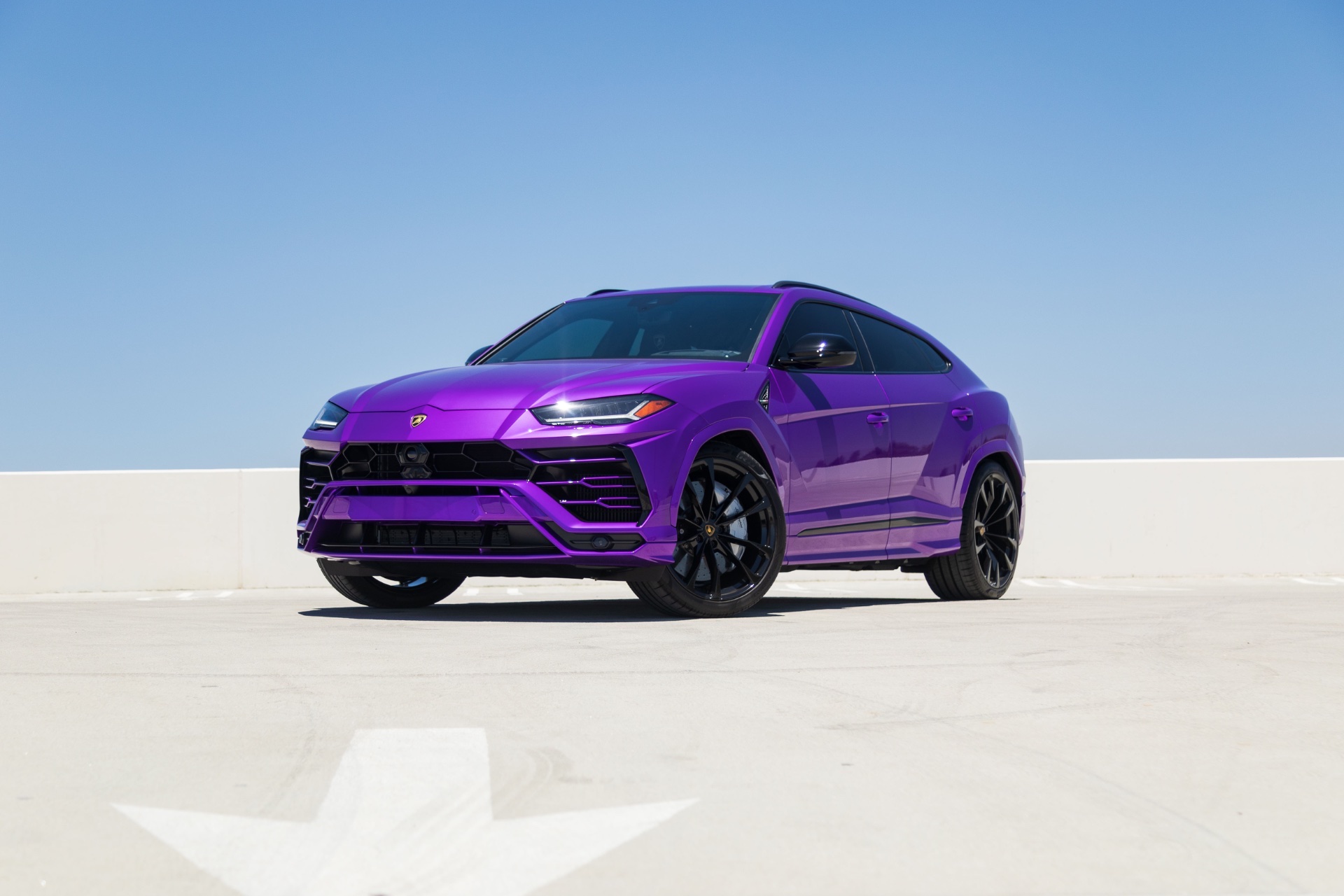 Urus Purple - Image 7